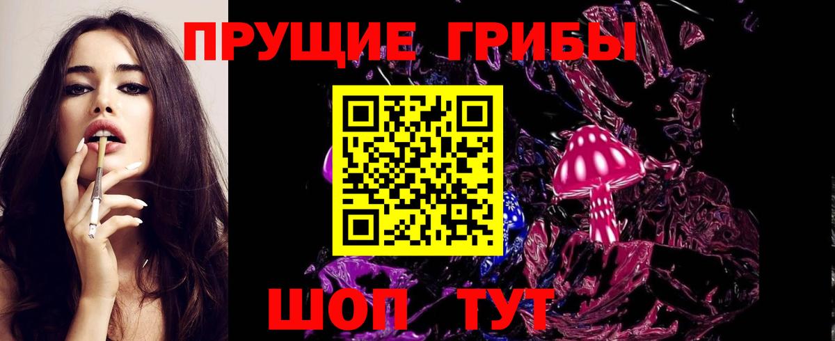 Псилоцибиновые грибы GOLDEN TEACHER  Вход с VPN  Аргун 