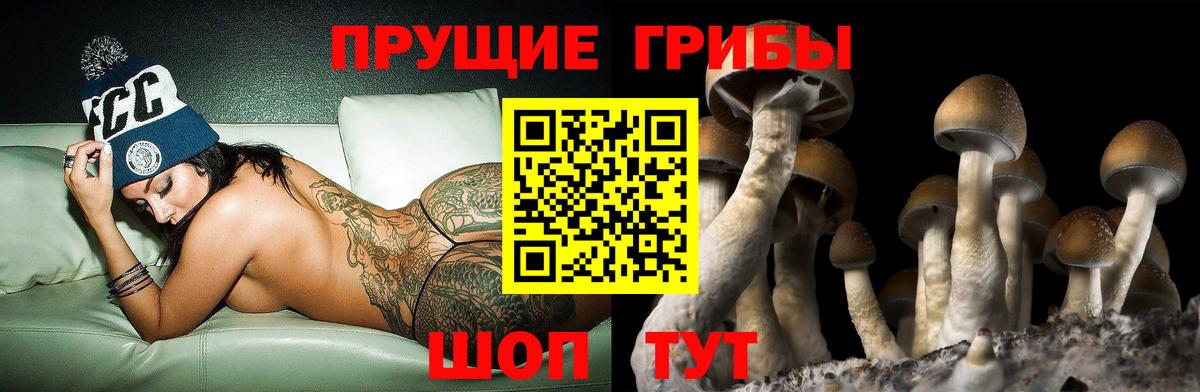 Галлюциногенные грибы Cubensis Аргун